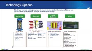 Energy Storage: Overview and Case Studies