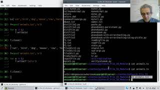 CS1 Lesson 31 - File I/O: writing, reading containers with and without pickle