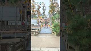 北鎌倉 歴史散歩【Historical Walk in Kitakamakura】Walk in kamakura 2025 #shorts