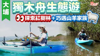 獨木舟｜大埔獨木舟生態遊 探索紅樹林＋巧遇山羊家族｜大埔好去處｜HolidaySmart