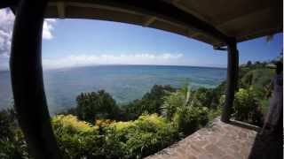 Trip to Taveuni Island & Dives in Somosomo Straits