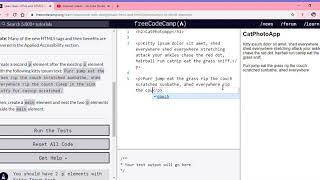 Learn Basic HTML and HTML5 Introduction to HTML5 Elements freeCodeCamp org Google Chrome 2019 1