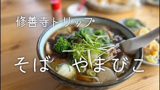 【ポメラニアン兄弟】ジョニーとパンチョと修善寺トリップ　お蕎麦のやまびこが超美味しい　の巻