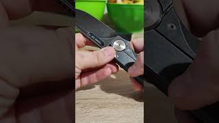 TwoSun ts346 D2 folding fix blade