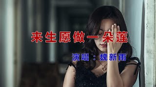 来生愿做一朵莲    魏新雨【经典好歌】