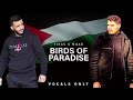 Birds of Paradise (Vocals only) | No Music | Firas X Muad