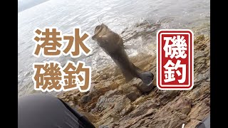 【 香港磯釣 】又北水釣行，今日冇乜悶埸但其實好悶 #釣魚#香港磯釣#外礁磯釣#小魚放生#自己垃圾自己帶走#記得洗地#磯釣新手