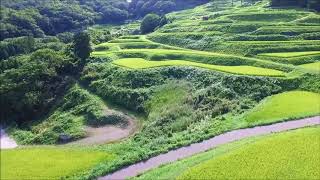 美しい棚田のある集落　岩首