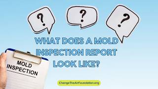 What does a mold inspection report look like?