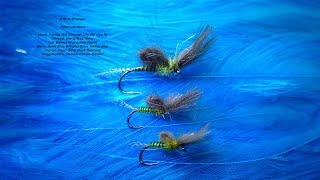 Tying a B.W.O Emerger (May Fly)  by Davie McPhail