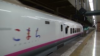 JR東日本 上野駅 上越・長野・東北新幹線 E2 E3 E4 E5 E6 17時台 2013.12