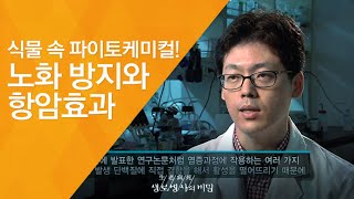 식물 속 파이토케미컬! 노화 방지와 항암효과  - (2011.9.10_384회 방송)_도시를 경작하라! 텃밭의 건강학