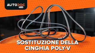 Come sostituire una cinghia Poly-V [VIDEO TUTORIAL DI AUTODOC]