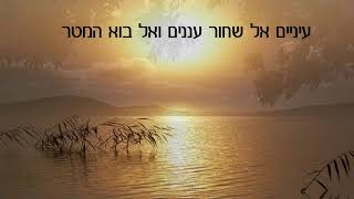 ארצי - אסנת שיר-וישינסקי