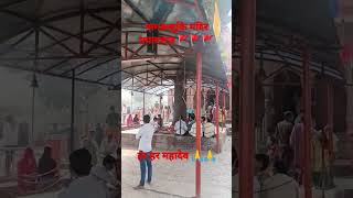 नागवासुकी मंदिर || प्रयागराज || उत्तर प्रदेश #shorts #viral #trending #allahabad #bholenath #siv #1