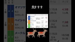 (初地方競馬) 勘で馬券買うと…