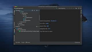 Eclipse Codewind - IntelliJ IDE