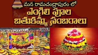 Batukamma celebrations| mangli batukamma song 2023 | mana Ramachandrapuram | batukamma sambaralu