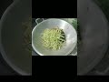 masak tumis tempe labu siam #shortvideo #short #shorts #masakanrumahan #masak #cooking #tempe