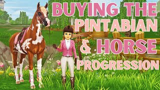 Buying the Pintabian + Trying Out Horse Bonding!