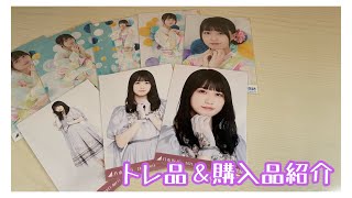 #31 【乃木坂46】トレ品＆購入品紹介【生写真】