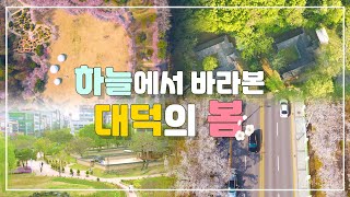 [하늘에서 바라본 대덕 | 푸릇🍀한 대덕의 봄🌸]