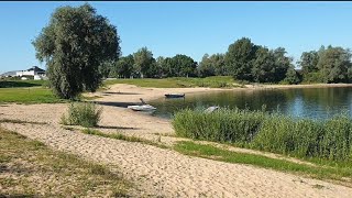 Papillon Welpe zum erstenmal im Urlaub am Wasser. Papillons von Persebeck schwimmen und gern.