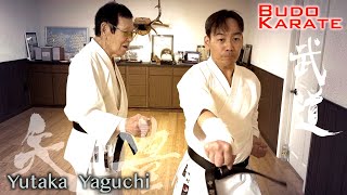 Tsuki Corrected by Karate Legend Master Yutaka Yaguchi