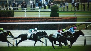 3歳未勝利 現地 レース キャリーハピネス ウインアチーヴ テンペスト モズマーカッシン パールテソーロ 2023/4/23 東京競馬場 4R