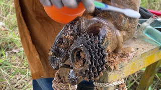 A Limousin Bull, Antique Tools… and a Dribbling Hoof Mystery!