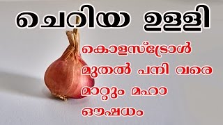 ചെറിയ ഉള്ളി  കൊളസ്ട്രോള്‍ മുതല്‍ പനി വരെ മാറ്റും മഹാ ഔഷധം/Malayalam Health Benefits