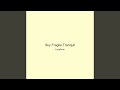 Sky Fragile Tranquil