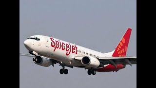 Lighter planes, fewer entertainment options, no meals in the short run: SpiceJet CMD