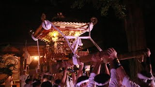 館山　佐野熊野神社　神輿渡御　祭り