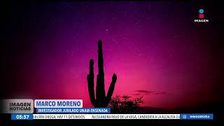Captan aurora boreal al norte de México | Noticias con Francisco Zea