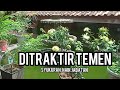 Ditraktir temen,  naik JABATAN. madhang bareng RM.Pendopo asri