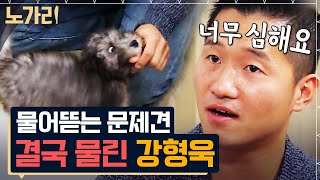 [#노가리맛집] 개통령 강형욱도 감당 못한 강아지, 인정사정없이 무는 버릇 고치는 방법은?