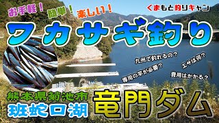 【竜門ダムの桟橋でワカサギ釣り】初めてでも簡単！専用の道具はなくてもＯＫ！ いつもの竿とリールで手軽に楽しいワカサギ釣り。（熊本県菊池市：班蛇口湖）