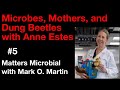 Matters Microbial #5: Microbes, Mothers, and Dung Beetles with Anne Estes