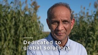 Dedicated to global solutions