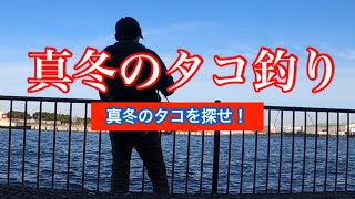 「冬のタコ釣り」釣れたら平均1.5㌔⁉︎ 真冬のロマンを求めて！😆