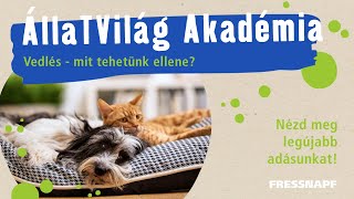 ÁllaTVilág Akadémia - Vedlés - mit tehetünk ellene?