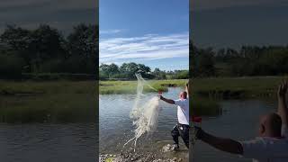 【東北四哥捕魚】|Fishing|自制漁網捕魚||這種撈魚方式看著就刺激，不喜歡吃魚的也會喜歡這種撈魚快樂。#shorts