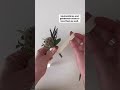 quick diy greenery boutonniere