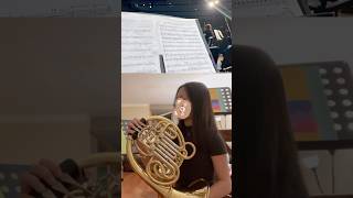 fav horn solo in dvorak 9 #frenchhorn #classicalmusic #dvorak