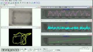 【ディテクトの運動解析】微生物の運動計測【DITECT motion analysis】microorganism