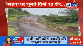 Gujarat Breaking : गुजरात के भावनगर में सड़क पर घूमते दिखे शेर | Bhavnagar | India News