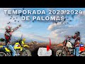 Recorriendo los TERRENOS DE CACERIA // Temporada de PALOMAS 2023/2024 QUE NOS ESPERA‼️