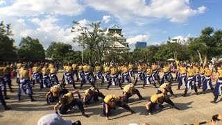 2015/09/13 第16回こいや祭り 関西大学学生チーム“漢舞” 鬨 天守閣前