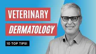 Veterinary Dermatology 10 TOP TIPS you NEED to Know